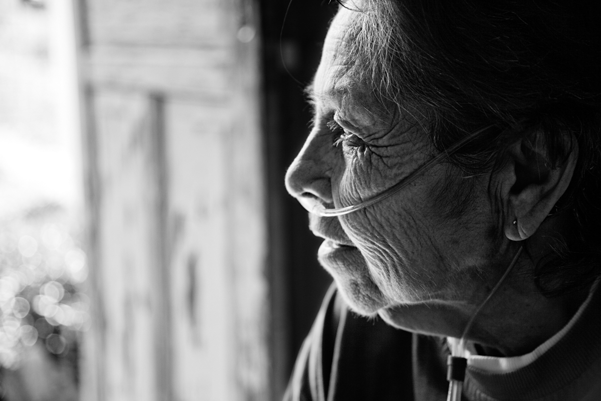 [:pt]10 anos do livro “De volta para casa”[:]